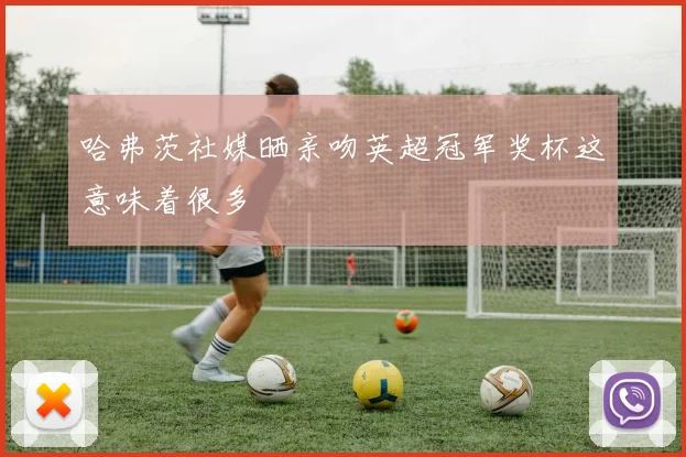 哈弗茨社媒晒亲吻英超冠军奖杯这意味着很多